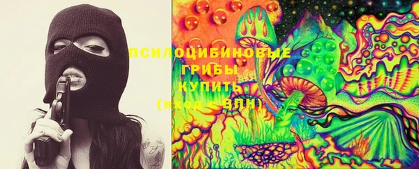 дживик Богданович