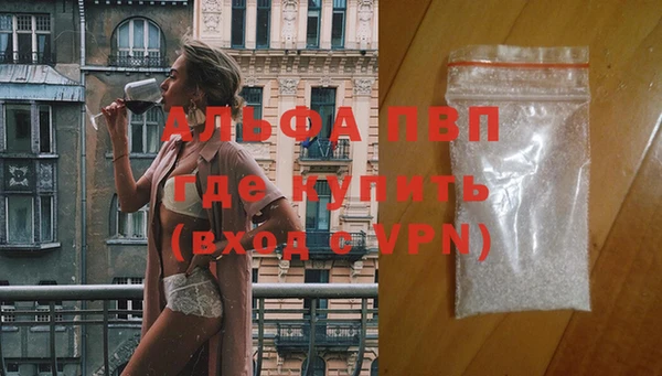 дживик Богданович