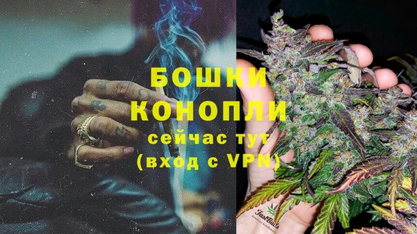 тгк Богородск
