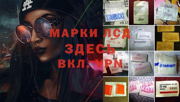 дживик Богданович