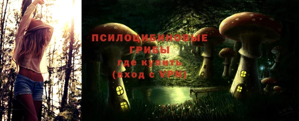 дживик Богданович