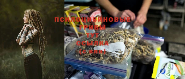 PSILOCYBIN Богородицк